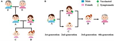 A four-generation family transmission chain of COVID-19 along the China–Myanmar border in October to November 2021